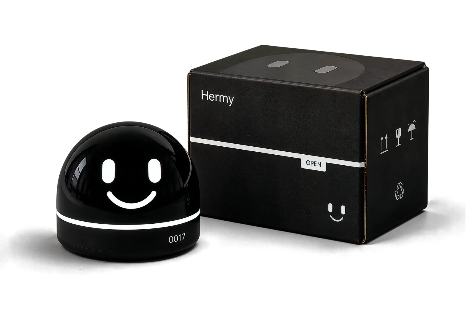 Hermy First Edition number 0017 beside his black shipping box